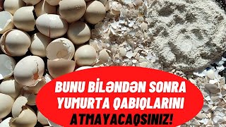 YUMURTA QABIQLARINI ATMAYIN, İNSANA FAYDALIDIR, TƏRKİBİ 90% KALSİUMDUR!