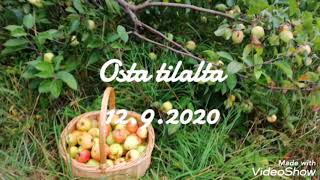 Osta tilalta! -syysmyyjäiset la 12.9.2020 klo 12.00-17.00 Peri-Sivakantie 250, Valtimo.