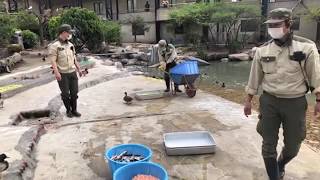 【天王寺動物園】飼育の日特別ライブ配信　鳥の楽園・食卓サバイバル