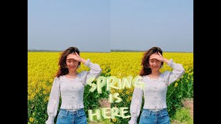 【油菜花Vlog】Come see canola flowers with us～～💛