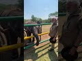 PM Modi's sweet gesture towards elephants at Mudumalai: Feeding sugarcane to the gentle giants!