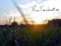 The Tanbrothers - Broken Hearts (Radio Edit)