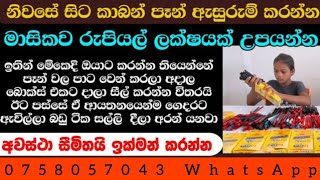 නිවසේ සිට පෑන් ඇසුරුම් කරලා මාසෙකට 100000|ස්වයං රැකියා|swayan rakiya