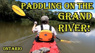 CANOEING/KAYAKING ON THE GRAND RIVER, ONTARIO!