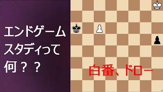 【チェス】エンドゲームスタディって何？