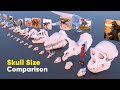 Skull Size Comparison | Animal Skull | Monster Skull | Birds Skull | Fictional Skull