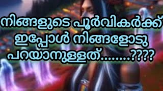 🙏❤️നിങ്ങളുടെ പൂർവികർക്കു നിങ്ങളോട് ഇപ്പോൾ പറയാനുള്ളത്!🙏❤️✨✨✨✨🧿🧿🧿🪶🪶🌹🌹🥰💞🤗