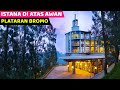 Seperti BUKAN di Indonesia...! VIBES nya beda bgt.. | Plataran Bromo Hotel bagus di Bromo