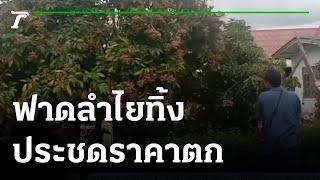 ชาวสวนระทมหนัก ฟาดลำไยทิ้งประชด | 17-08-64 | ข่าวเช้าหัวเขียว