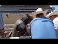 Orin Larsen | 2022 Calgary Stampede