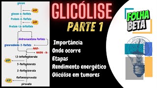 Glicólise Parte 1