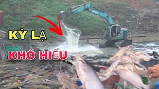 HÚT CÁT TẠI VỊ TRÍ NÀY.KỲ LẠ ĐÃ XUẤT HIỆN SAU KHI MÁY XÚC LÀM ĐIỀU NÀY.NHIỀU CÁ NỔI LÊN