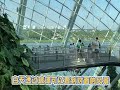 新加坡🇸🇬滨海湾花园 gardens by the bay 白天🆚夜晚对比 vlog