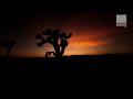 Starry Night - Ingo Herrmann - Deluxe Lounge TV