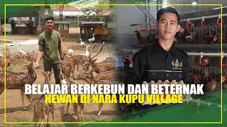 BELAJAR BERKEBUN DAN TERNAK HEWAN DI NARA KUPU VILLAGE