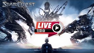 24.11.10(일) 【 인피쉰 생방송 다시보기 】 스타 빨무 스타크래프트 Starcraft