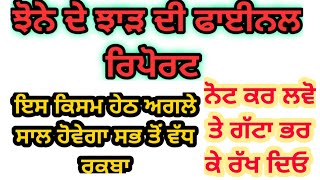 ਝੋਨੇ ਦੇ ਝਾੜ ਦੀ ਫਾਈਨਲ ਰਿਪੋਰਟ, ਇਸ ਕਿਸਮ ਹੇਠ ਵਧੇਗਾ ਰਕਬਾ, ਨੰਬਰ 1 | Paddy yield final report