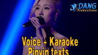 One and Only 独一无二 (TVB Under the Veil v2) (Voice + Karaoke texts) - Vincy Chan 泳兒 (j.DANG Pro 2015)