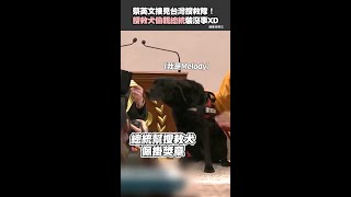 #搜救犬 偷親總統裝沒事XD  #台灣搜救隊 #土耳其 #shorts