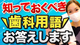 【歯医者】クリニックで聞く「あの用語」を解説してみました！