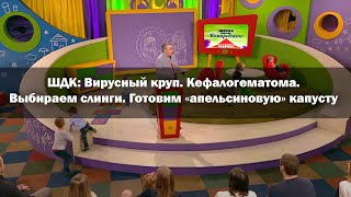 ШДК: Вирусный круп. Кефалогематома. Выбираем слинги. Готовим «апельсиновую» капусту