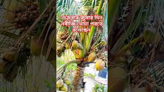 শুক্রবার জুমার দিন নবীজি দোয়া পরতে বলেছেন #trending #shortvideo #shortsvideo @nadiasvlog8338