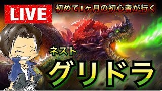 【ドラネスm】なんか60LVいったので初見グリドラLiveやります！《グリーンドラゴンネスト》