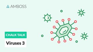 Viruses - Part 3: Viral Replication Process