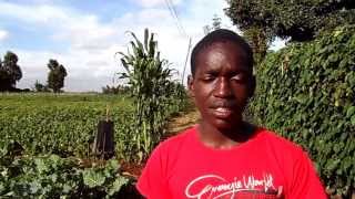 Mkulima Young Champion - At just 18 years of age, University of Nairobi Law student and farming!!