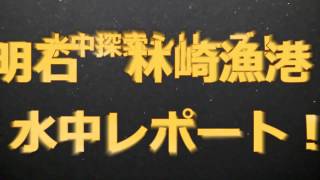 釣り水中探索シリーズ！　明石・林崎漁港水中レポート！