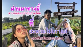 สะพานนี้มีตำนาน สะพานไม้เก่าแก่ของจังหวัดมหาสารคาม สะพานไม้แกดำ#ปู่ปาริจิต #มหาสารคาม #ไทบ้าน #ภูไท