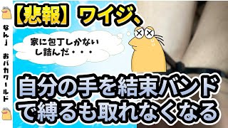 【悲報】ワイジ、自分の手を結束バンドで縛るも取れなくなる