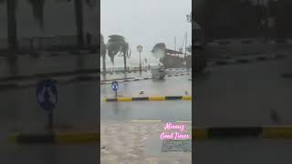 Unexpected weather change \u0026 rain in Sharjah പോർട്ട്‌ | അപ്രതീക്ഷിത മഴയിലും കാട്ടിലും ഷാർജ പോർട്ട്‌