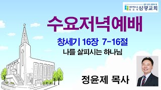 2024년 11월 13일 삼광교회 수요저녁예배(창세기 16장 7-16) 정윤제 담임목사