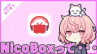 【ツイキャス切り抜き】NicoBoxについて語るなるせちゃん【nqrse】