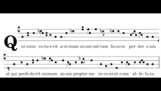 Qui Enim Voluerit, Antiphon