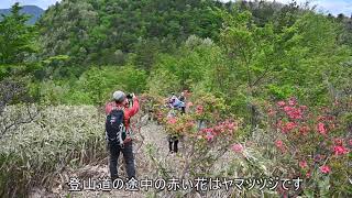 鳴子温泉の胡桃ケ岳で周遊登山道の復活へ