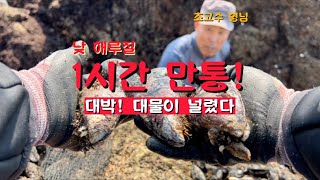 대물이 널렸다 1시간 만통! #해루질 ft. 가다구TV