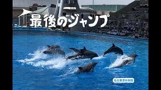 イルカパフォーマンス最後のジャンプ🐬  ６／２　　　名古屋港水族館