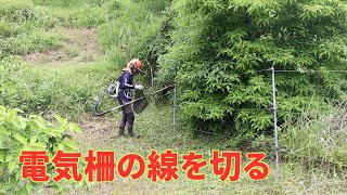 上手くいかない日の草刈り｜電気柵の線を切ってしまう