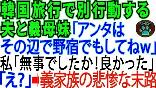 海外旅行先の韓国で私と別行動する義家族。義母「アンタは野宿してなさいｗ」私「お義母さん、ご無事で良かったです。良い滞在を‼」「えっ 」→真実を知った義家族は慌てふためいて