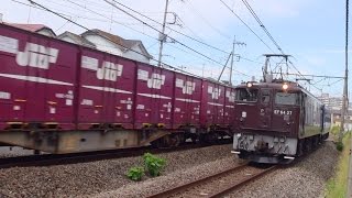 EF64 37 オヤ12 芋臨離合 EF65 501単 銀タキ 八高DD51 2014.9.18