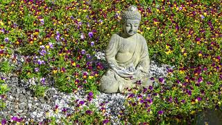 Zen Garden | Spiritual Healing