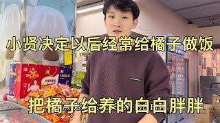 小贤决定以后经常给橘子做饭，把橘子给养胖一点，调理一下身体