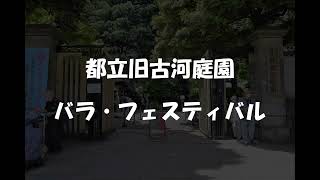 都立旧古河庭園バラ・フェスティバル2024