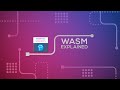 What is WebAssembly? | WASM Explained by Experts in 2 Minutes