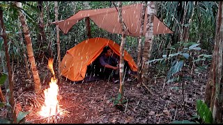 2 Hari Solo Cing di Hutan Hujan Rintik Pada Malam Hari Api Unggun Untuk Menghangatkan Tubuh