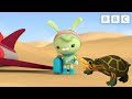 Tweak meets a Pininga Turtle | Octonauts | CBeebies