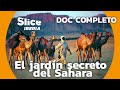 El Macizo de Ennedi: El Paraíso Escondido del Sahara | SLICE Iberia | DOCUMENTAL COMPLETO