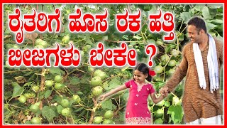 ರೈತರಿಗೆ ಹೊಸ ರಕ ಹತ್ತಿ ಬೀಜಗಳು ಬೇಕೇ ?  ದಿಶಾ -  ಮೋಹನ್ ಟ್ರೇಡರ್ಸ್ ಆದೋನಿ  - 9493636363 #cottonseeds #cotton